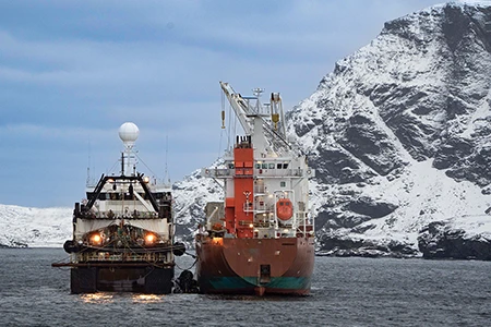 Industrial vessels harvest hundreds of thousands of metric tonnes of Antarctic krill each year.
