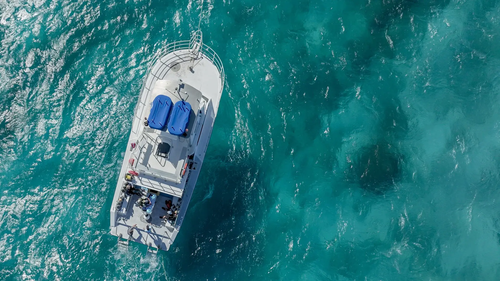 DAN continuing education for dive professionals